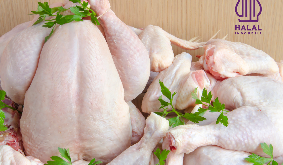 Ayam Potong Halal